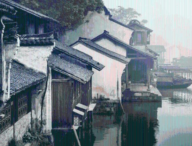 逃离大犀牛出没地